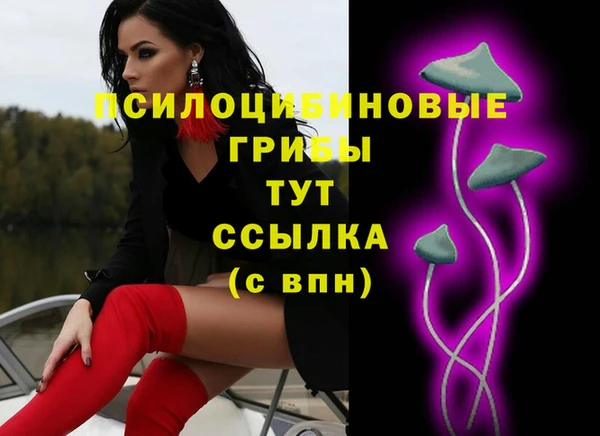 ГАЛЛЮЦИНОГЕННЫЕ ГРИБЫ Пролетарск